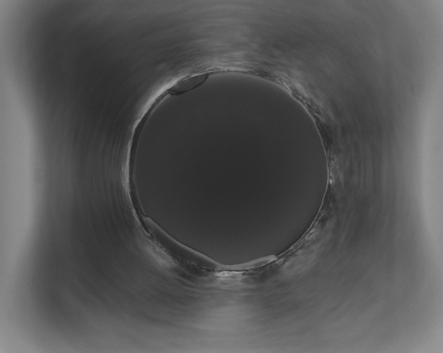 X0000111440052200907201137