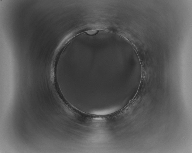 X0000111440053200907201137