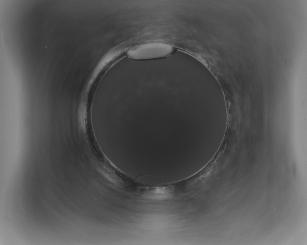 X0000111440056200907201137