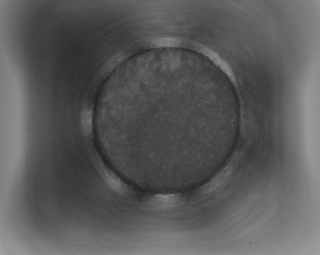 X0000111440057200907201137