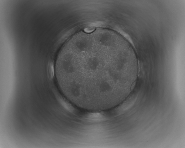 X0000111440061200907201137