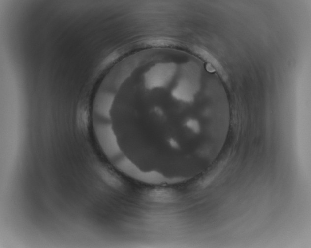 X0000111440063200907201137