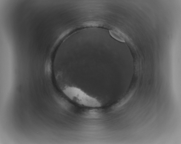 X0000111440064200907201137