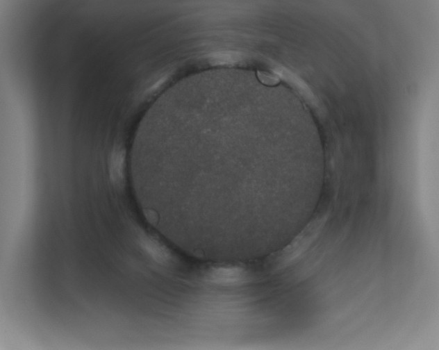 X0000111440066200907201137