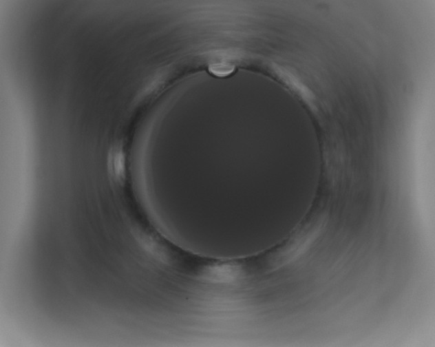 X0000111440067200907201137