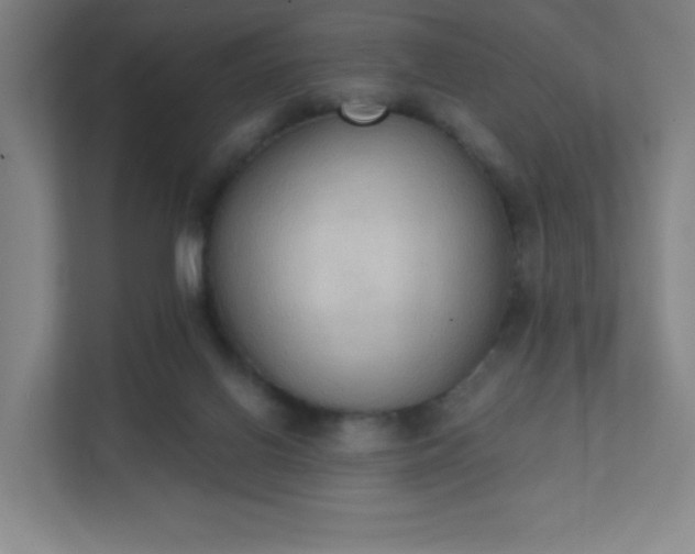 X0000111440070200907201137