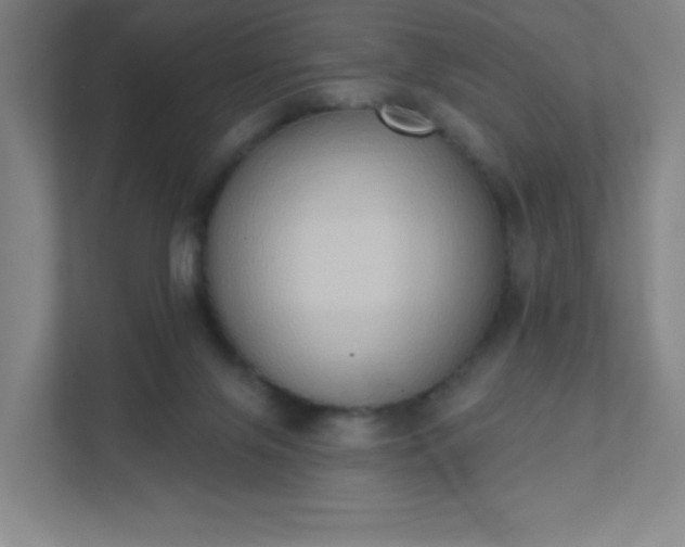 X0000111440071200907201137