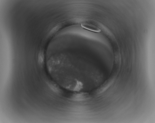 X0000111440072200907201137