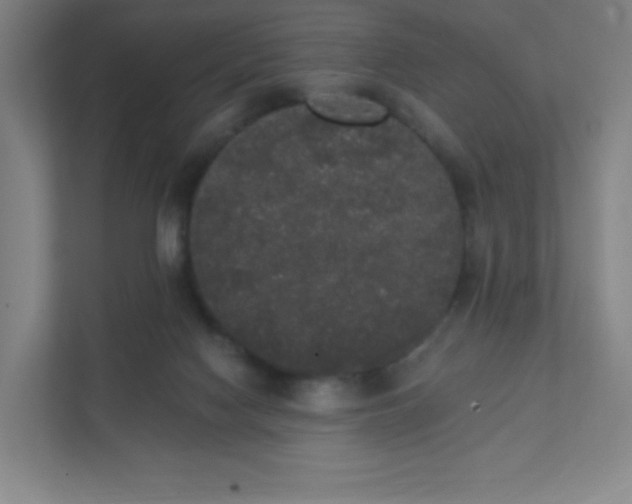 X0000111440074200907201137