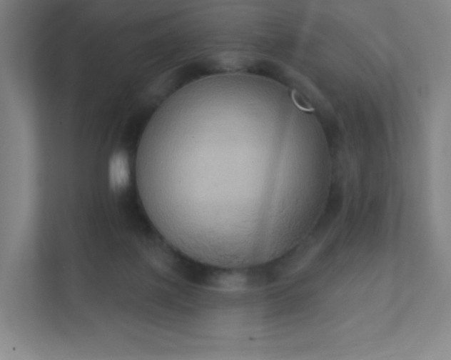 X0000111440075200907201137