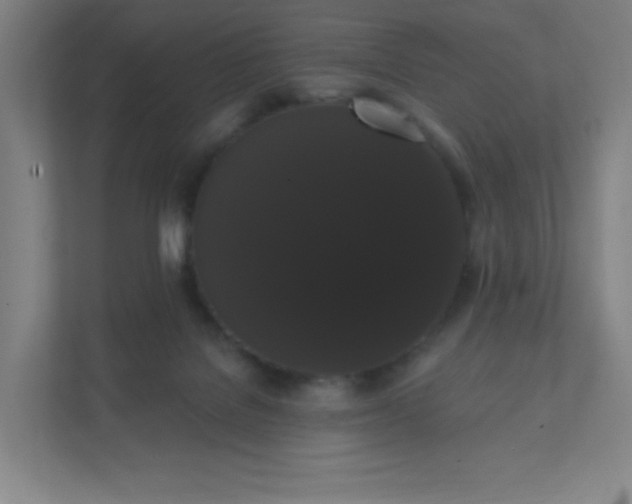 X0000111440076200907201137