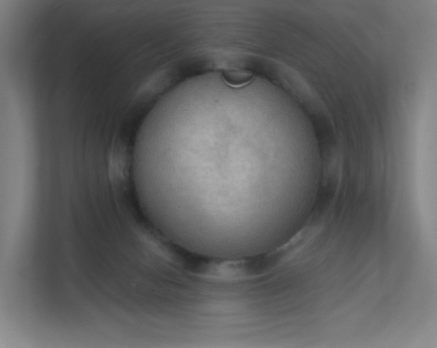 X0000111440078200907201137