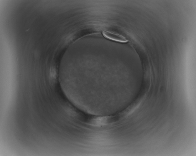 X0000111440084200907201137