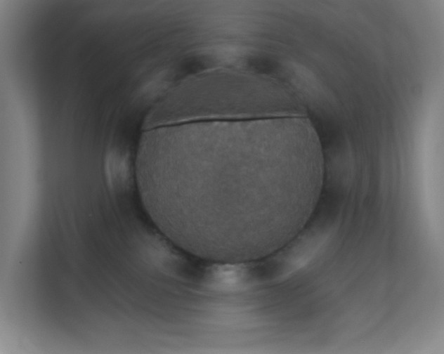 X0000111440088200907201137