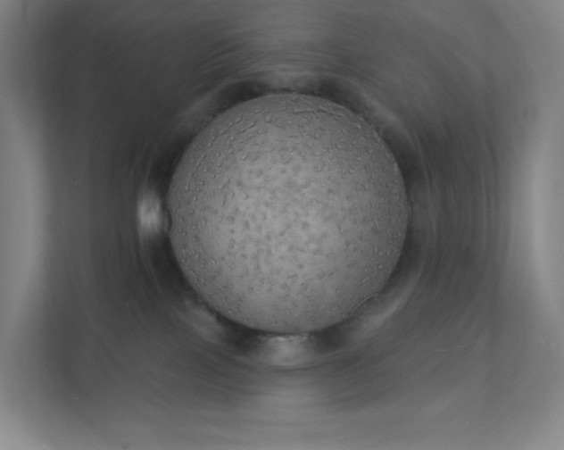 X0000111440089200907201137