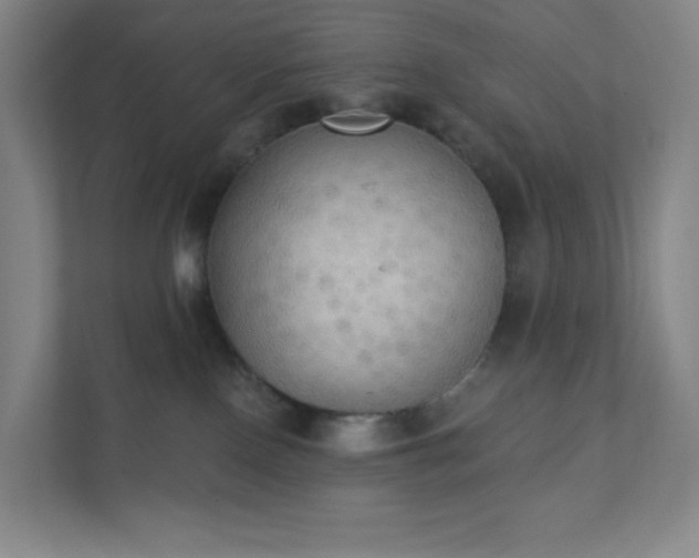 X0000111440090200907201137