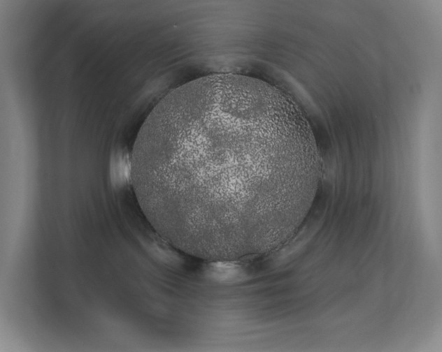 X0000111440095200907201137