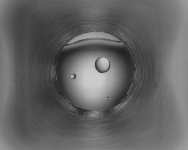 X0000111440096200907201137