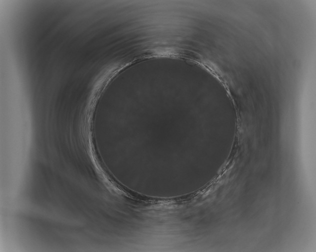 X0000111440097200907201137