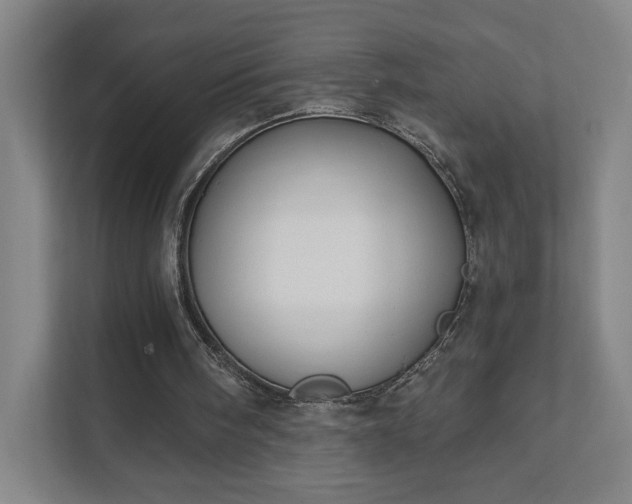 X0000111440098200907201137