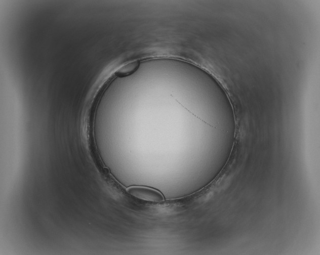 X0000111440103200907201137