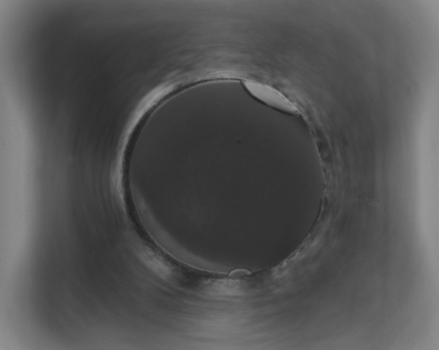 X0000111440104200907201137