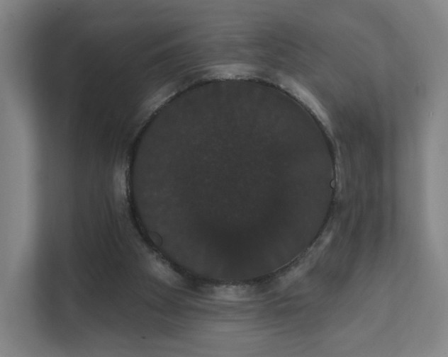 X0000111440105200907201137