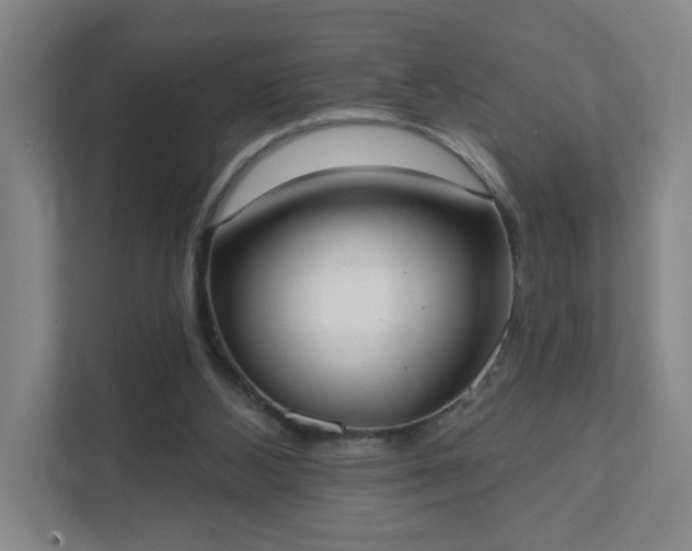 X0000111440108200907201136