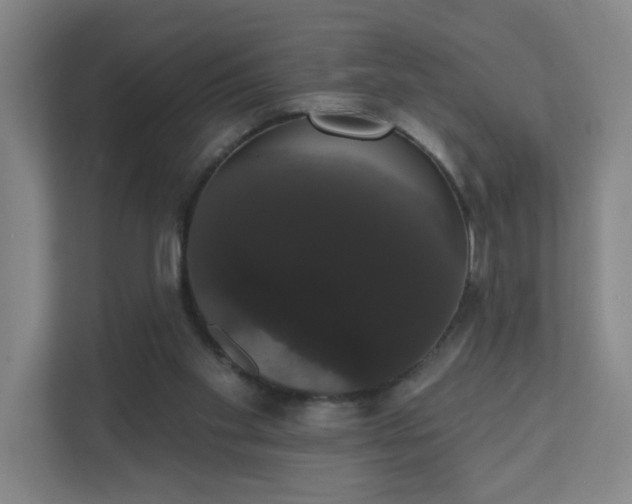 X0000111440109200907201136