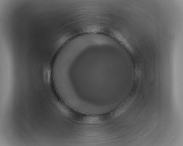 X0000111440110200907201136