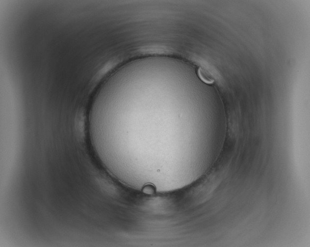 X0000111440111200907201136