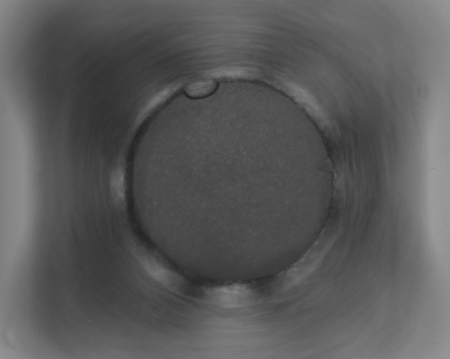 X0000111440112200907201136