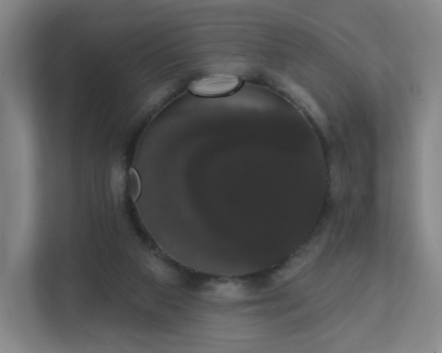 X0000111440113200907201136