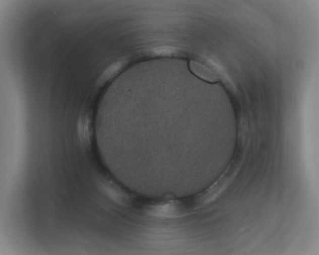 X0000111440116200907201136