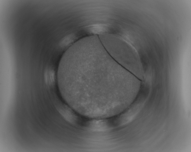 X0000111440117200907201136