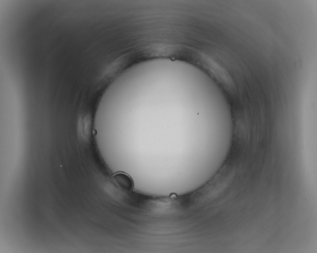 X0000111440118200907201136