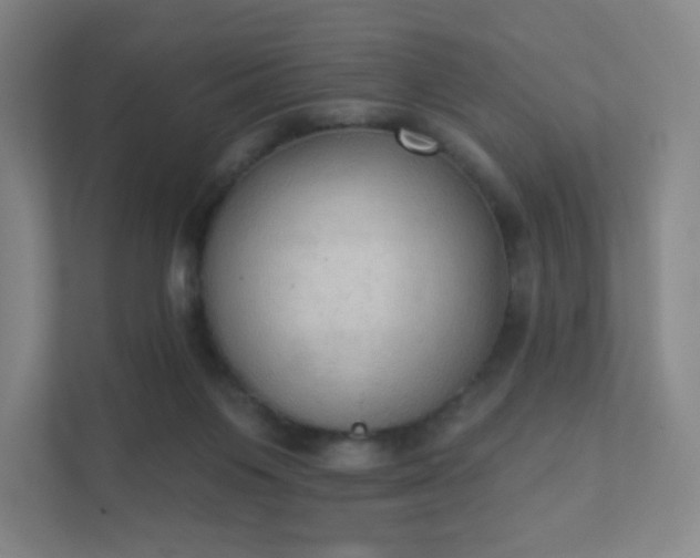 X0000111440119200907201136