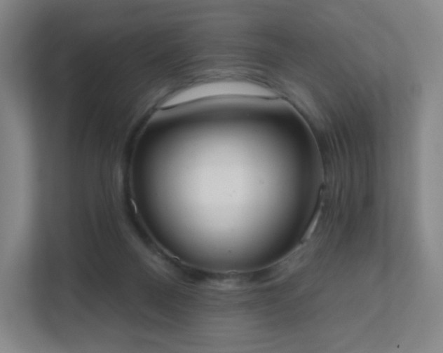 X0000111440120200907201136