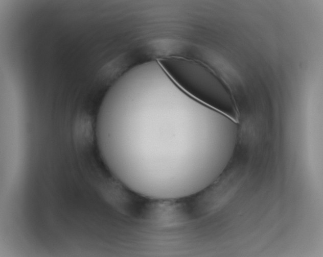 X0000111440121200907201136