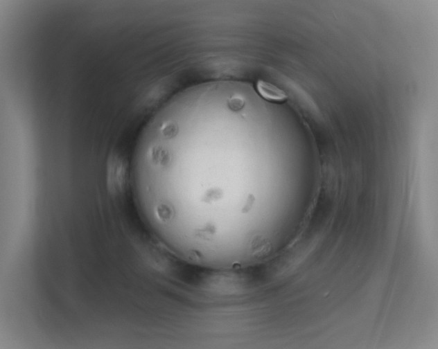 X0000111440123200907201136