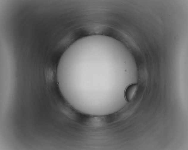 X0000111440126200907201136