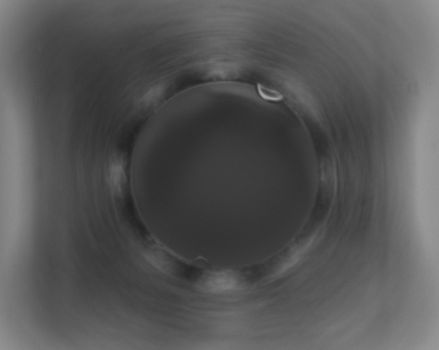 X0000111440127200907201136