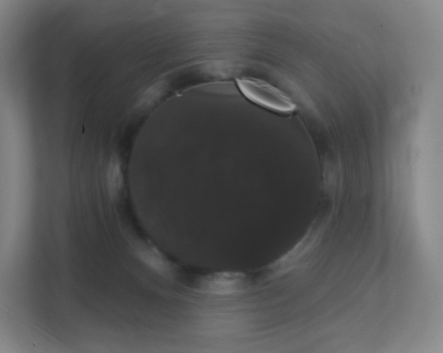 X0000111440128200907201136