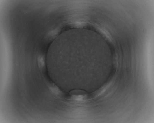 X0000111440131200907201136