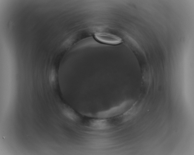 X0000111440132200907201136