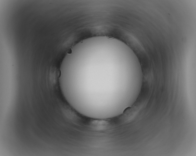 X0000111440133200907201136