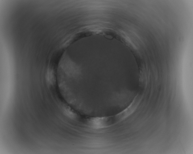 X0000111440136200907201136