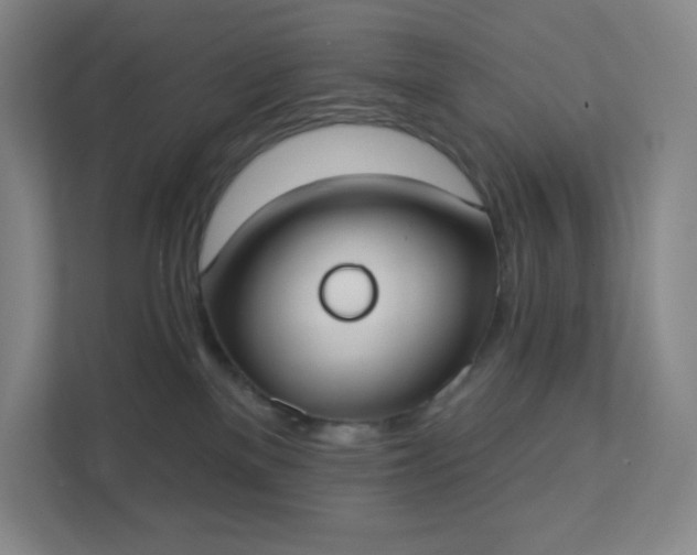 X0000111440137200907201136