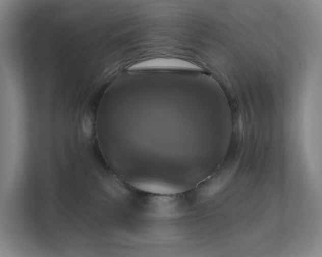 X0000111440139200907201136