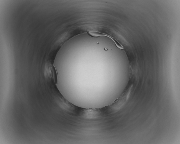 X0000111440141200907201136